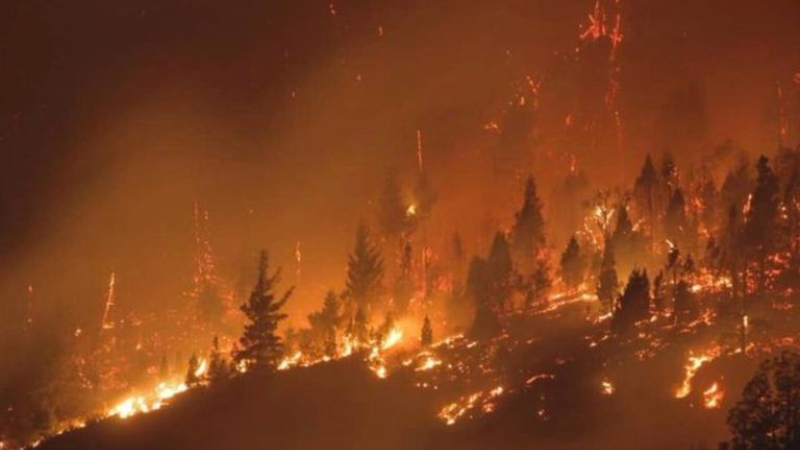 Aterradoras imágenes de los incendios en la Patagonia
