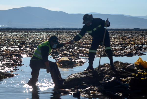 Voluntarios locales, trabajadores y hasta un “influencer” francés intentan limpiar el desastre. Por estos días, cientos de personas recolectaron basura de la superficie del lago, cuyas aguas también fueron contaminadas por actividades  industriales y mineras.