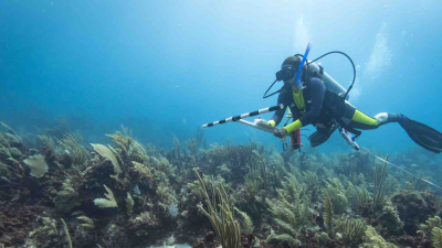 Lanzan iniciativa mundial para acabar con la basura marina y limpiar los océanos