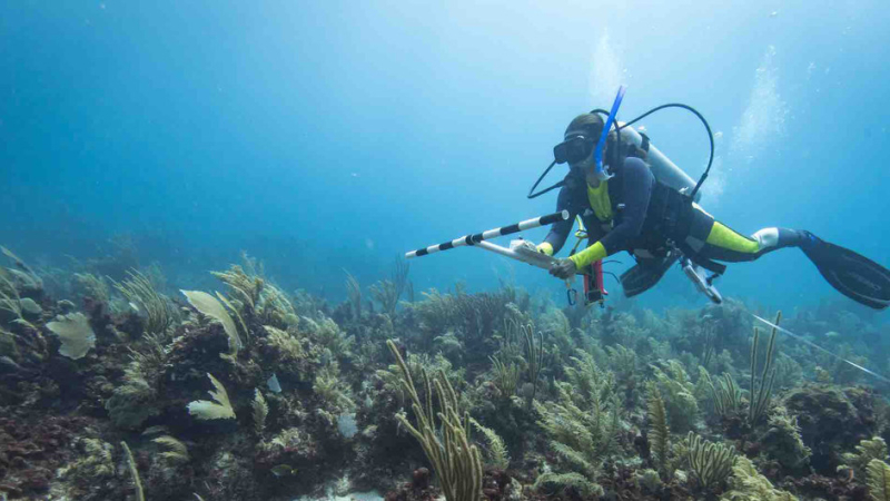 Lanzan iniciativa mundial para acabar con la basura marina y limpiar los océanos