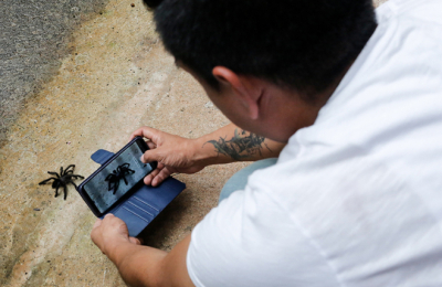 Una app para registrar especies