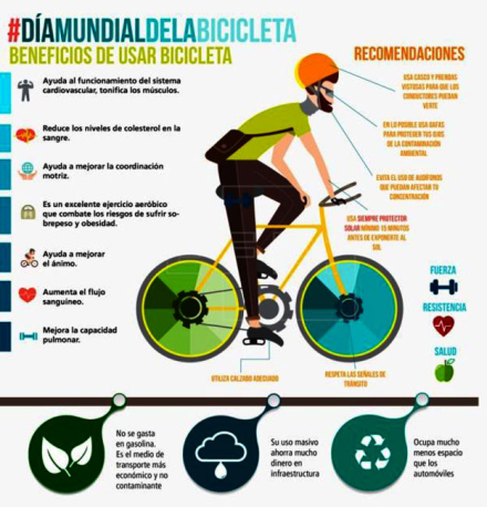 bici2.jpg