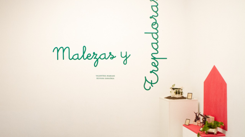Malezas y Trepadoras: bordado y poesía en Casa de las Culturas