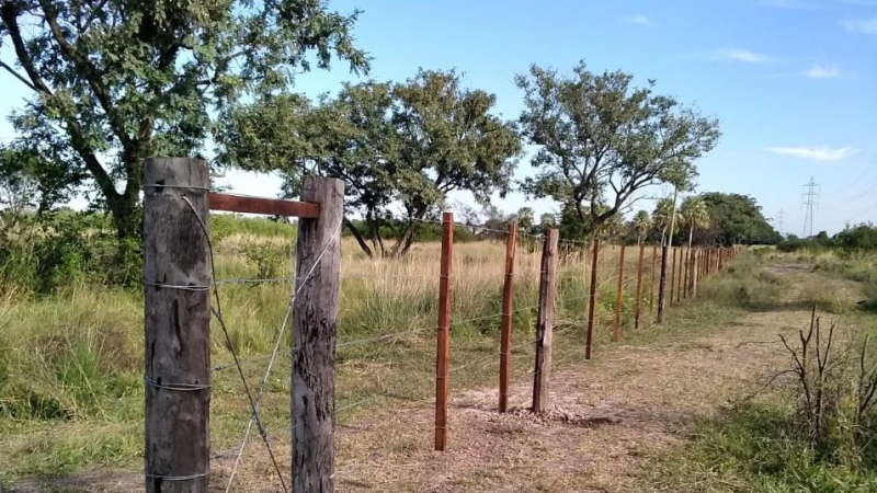 “Nos roban el Caraguatá”, aseguran desde el colectivo ambientalista