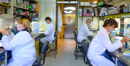 cientificos.jpg
