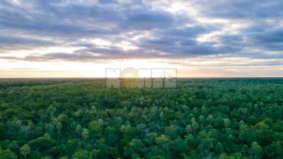 Ley de Bosques: este martes 1 comienza la fase informativa en la provincia