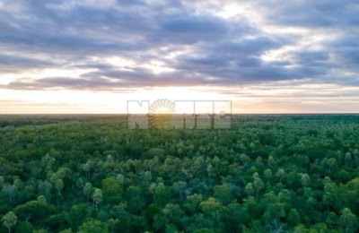 Ley de Bosques: este martes 1 comienza la fase informativa en la provincia