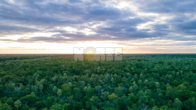 Ley de Bosques: este martes 1 comienza la fase informativa en la provincia