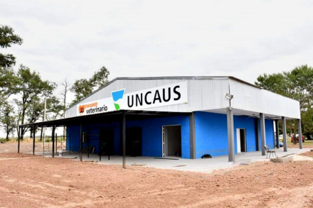 hospi-vete-uncaus.jpg