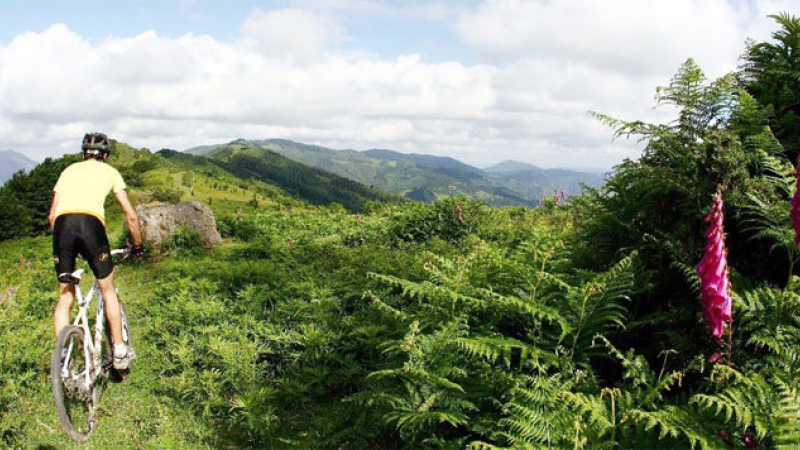 Presentan nuevos circuitos temáticos para fomentar el turismo de naturaleza