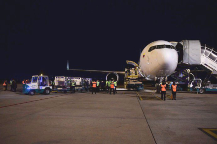 vuelo.jpg