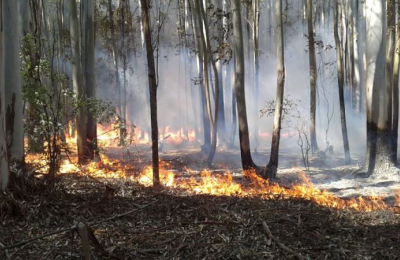 Técnicos de la DRF de Corrientes fortalecen conocimientos sobre peligro de Incendios