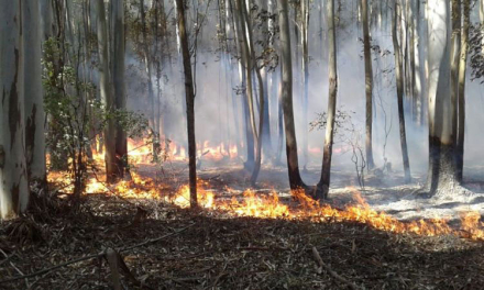 Corrientes-Incendios-Rurale.jpg