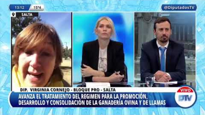 Diputados se refirieron a la modificación de la Ley Ovina
