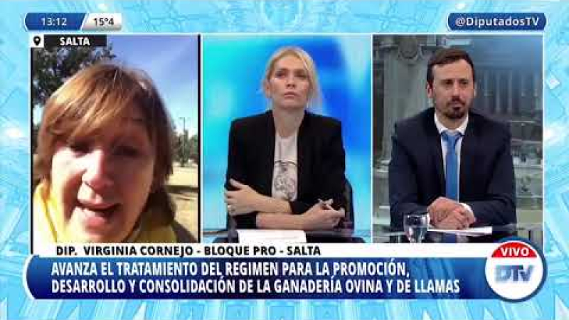 Diputados se refirieron a la modificación de la Ley Ovina