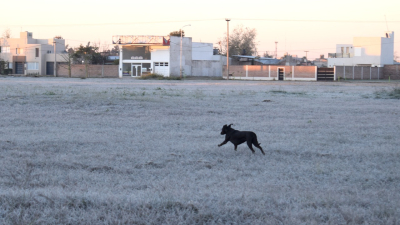 Localidades del Chaco amanecieron heladas: las impresionantes imágenes de una mañana de frío extremo
