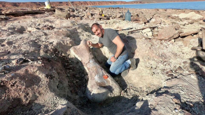 Neuquén: encontraron los restos de un dinosaurio de hace 90 millones de años
