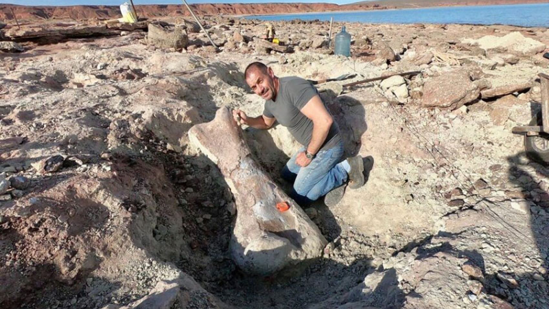 Neuquén: encontraron los restos de un dinosaurio de hace 90 millones de años