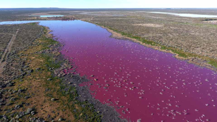chubut3.jpg