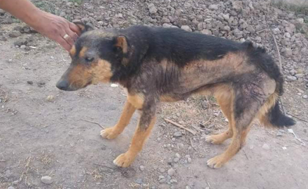 huella02.jpg