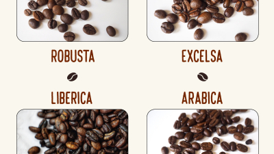 Anticipan déficit mundial de café por perturbaciones climáticas