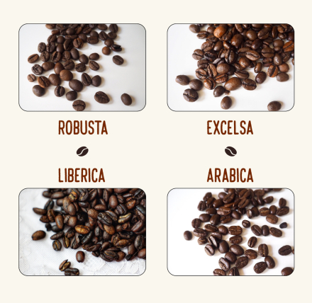coffee types.jpg