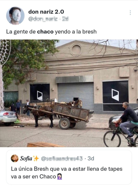 sofia2.jpg