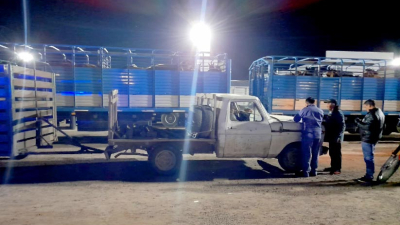 "Roban más caballos que vacas", aseguran los productores, pero no se realizan las denuncias
