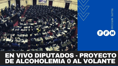 Diputados trabaja en el proyecto de Alcoholemia 0 al Volante