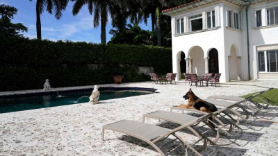 El perro más rico del mundo vende casa en Miami por casi 32 millones de dólares