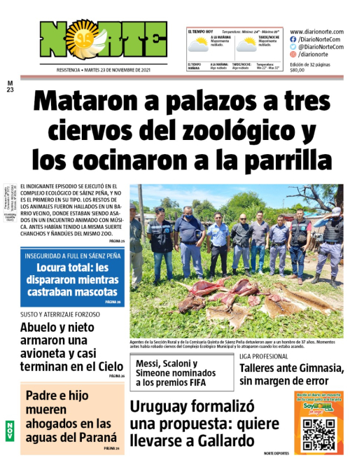 Edición del 23-11-2021