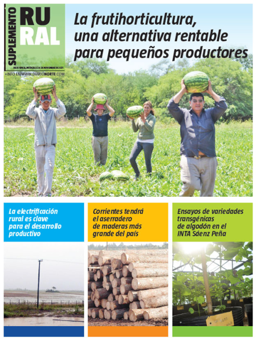 La frutihorticultura, una alternativa rentable para pequeños productores