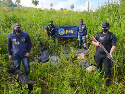 pfa.jpg