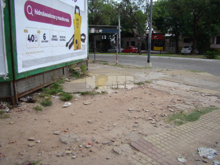 vere4.jpg