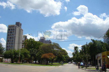 dia soleado.JPG copy