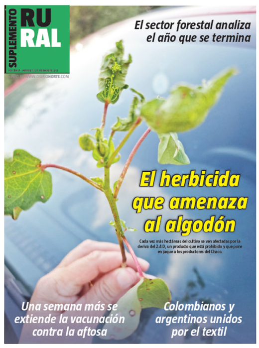 El herbicida que amenaza al algodón