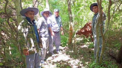La faena clandestina, potencial peligro para la salud de la comunidad