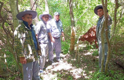 La faena clandestina, potencial peligro para la salud de la comunidad