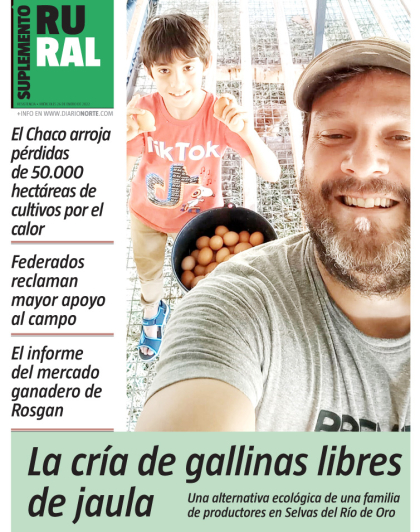 La cría de gallinas libres de jaula