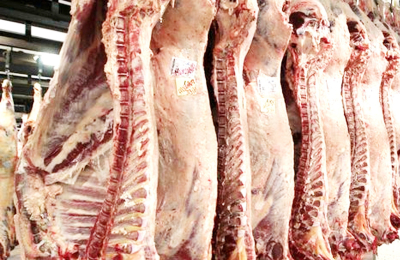 El informe Rosgan: en carnes, hay distintas miradas de una misma foto final