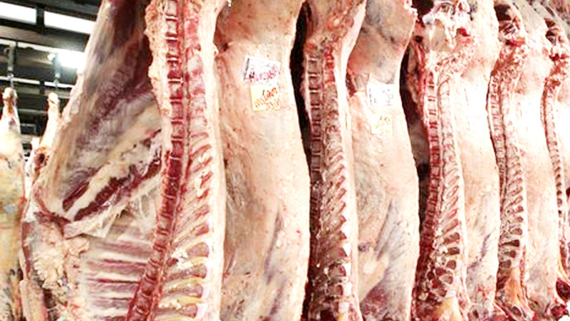 El informe Rosgan: en carnes, hay distintas miradas de una misma foto final