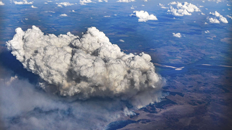 No son solo obra de la naturaleza: catastróficos incendios en Corrientes