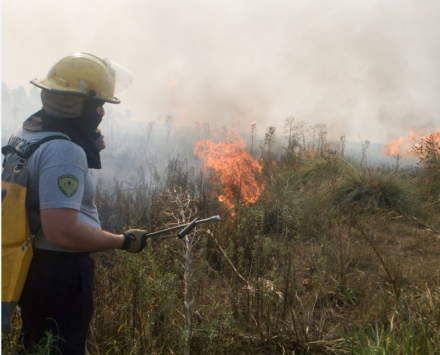 incendios2.jpg