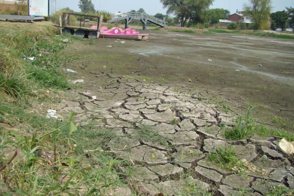 Otra dura realidad que genera la falta de agua