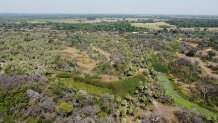 parque San Cayetano.jpg