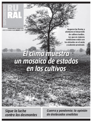 El clima muestra un mosaico de estados en los cultivos