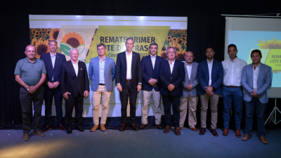 Se realizó en Charata el remate de la primicia girasolera nacional