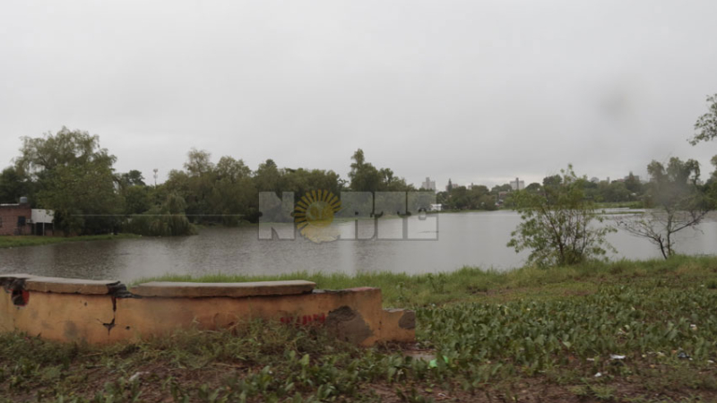 La laguna Francia recuperó su imagen