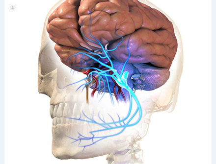 neuralgia.jpg