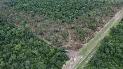 En 2021 Bosques tuvo una recaudación récord de más de $ 132 millones